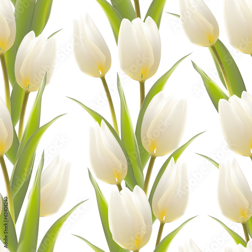 Tulip spring flowers seamless pattern.