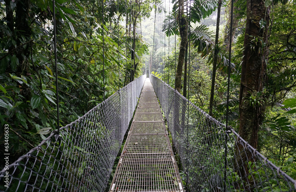 Fototapeta premium Suspended Bridge at La Fortuna