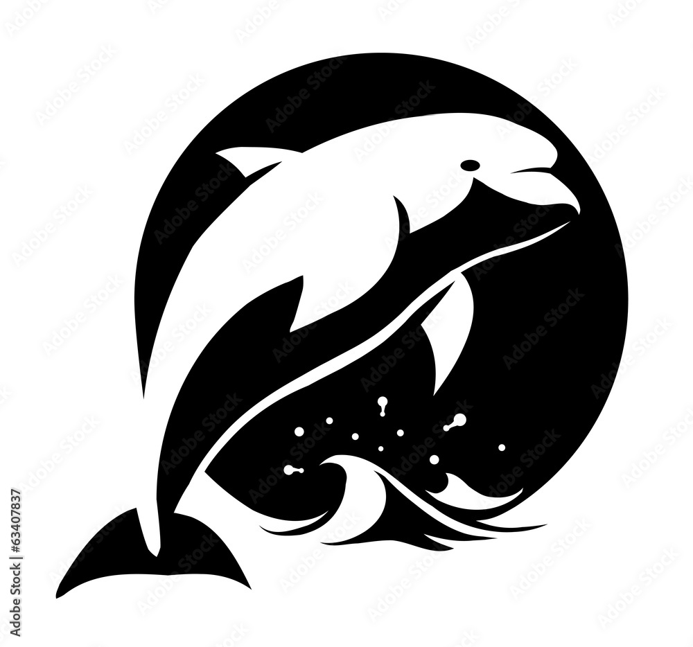 dolphin dolphin