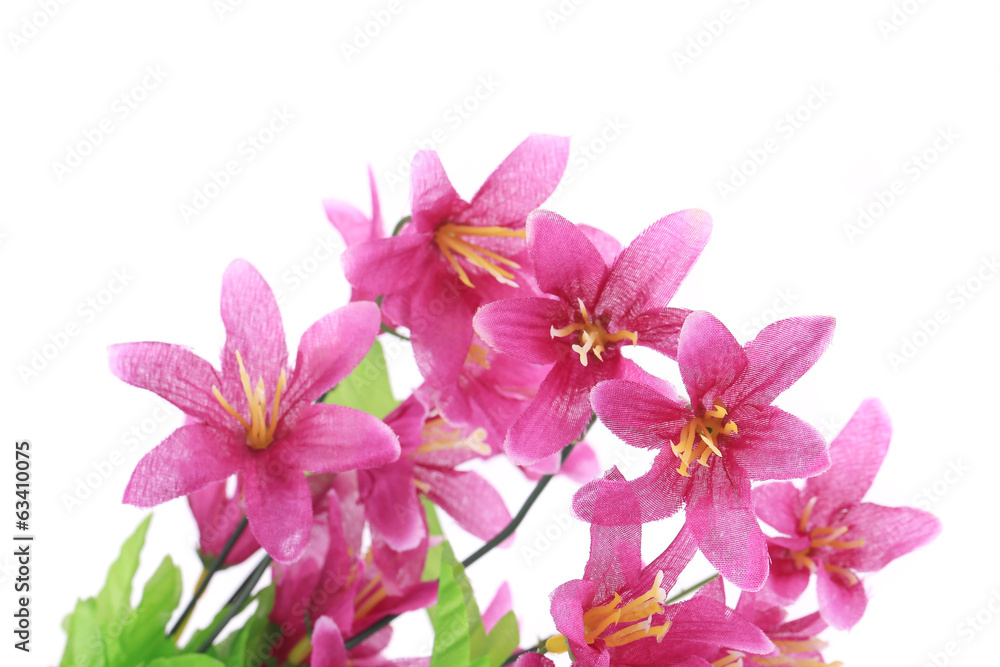 Close up of flower bouquet. Close up of flower bouquet.