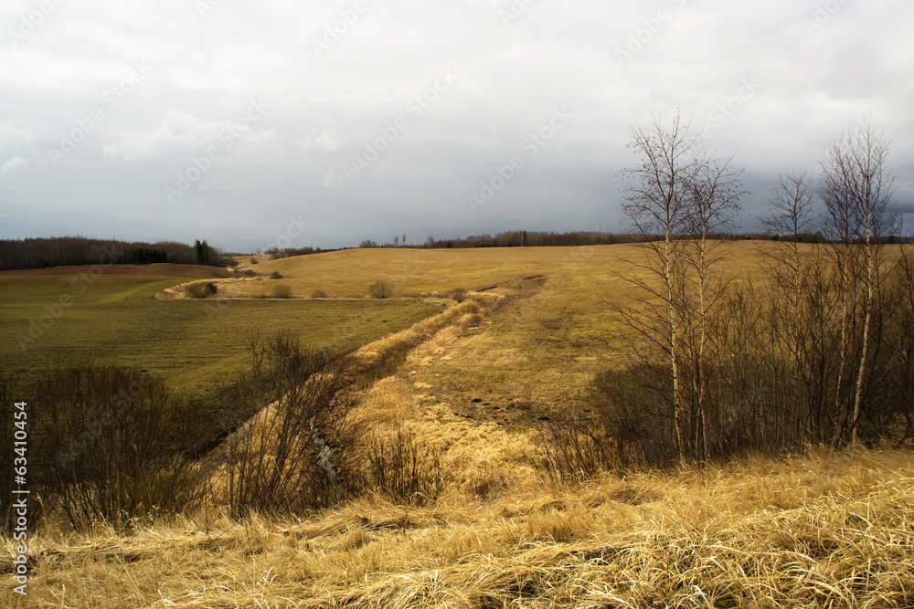 Fototapeta premium Spring landscape. Eastern Europe.
