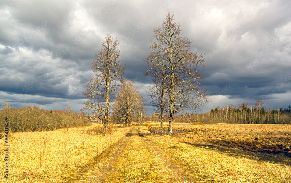 Spring landscape. Eastern Europe.HDR