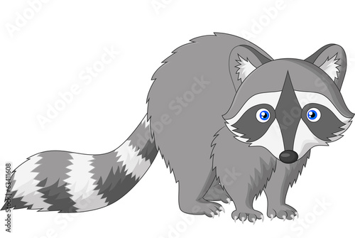 Cute raccoon cartoon
