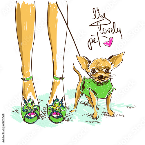 legs of fashion girl and little chihuahua