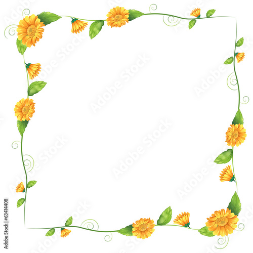 A border with orange flowers