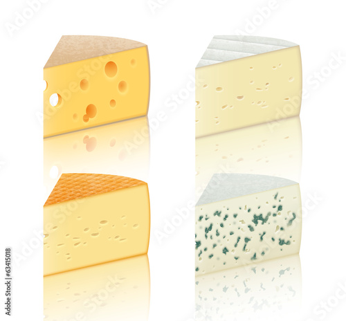 Morceaux de fromages vectoriels 1
