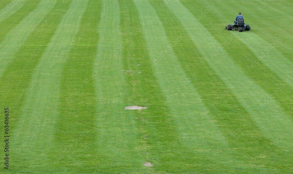 Fototapeta Mowing grass in a football stadium
