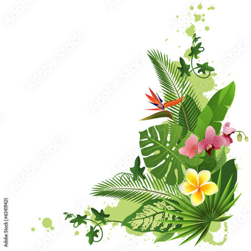 Fototapeta Naklejka Na Ścianę i Meble -  tropical background