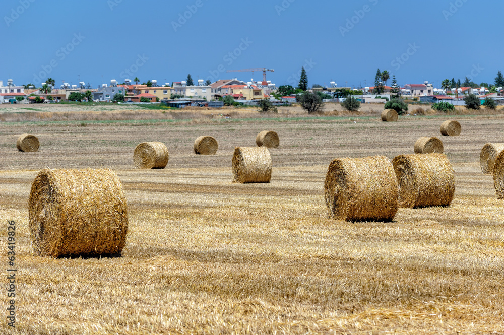 Field with haystacks