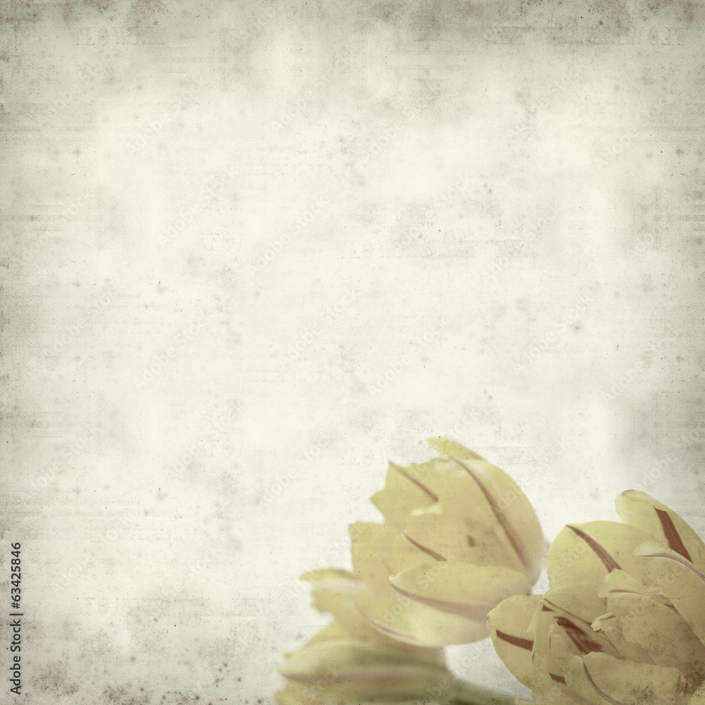textured old paper background with textured old paper background with