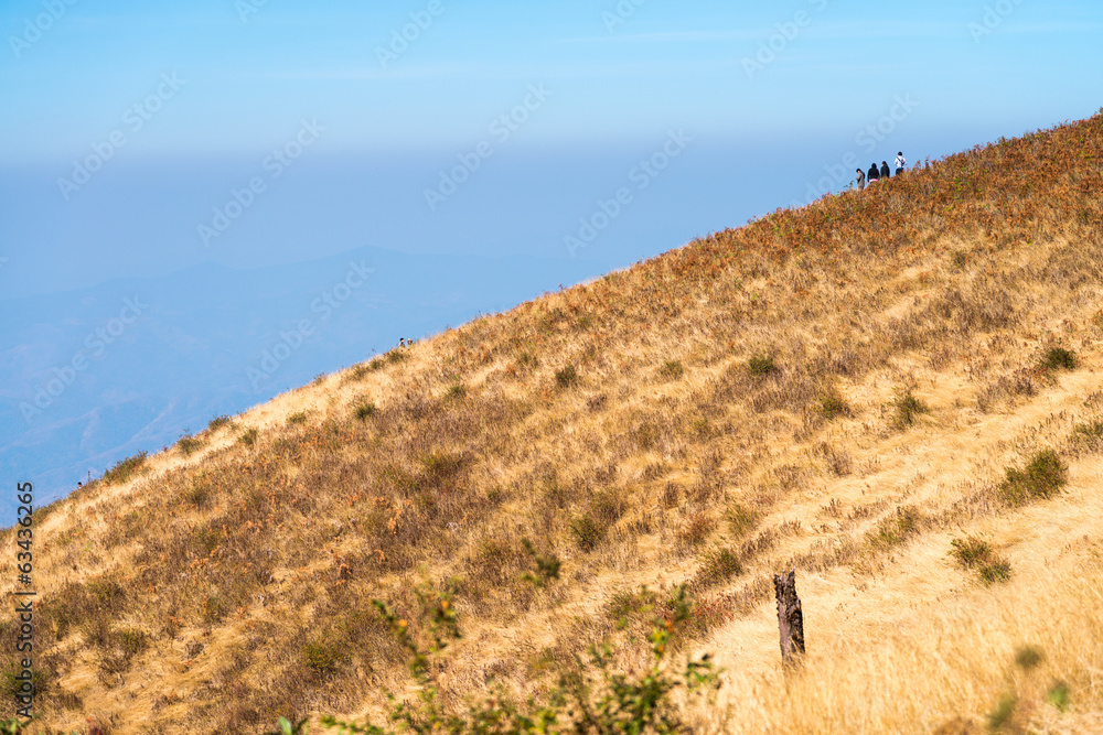 Alpine savanna grassland of Doi Inthanon, Chiang Mai, Thailand Alpine savanna grassland of Doi Inthanon, Chiang Mai, Thailand