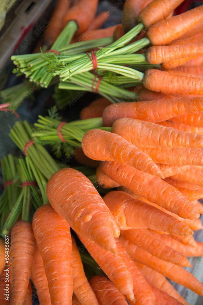 A bunch of fresh carrots on natural background A bunch of fresh carrots on natural background