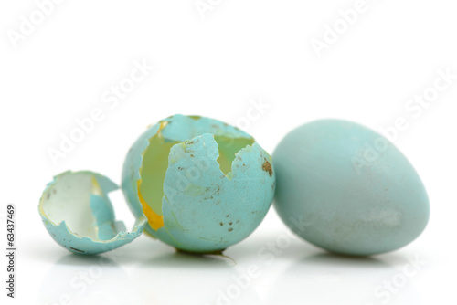Broken Blue Eggs