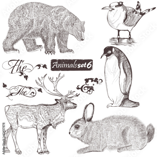 Collection of high detailed animals