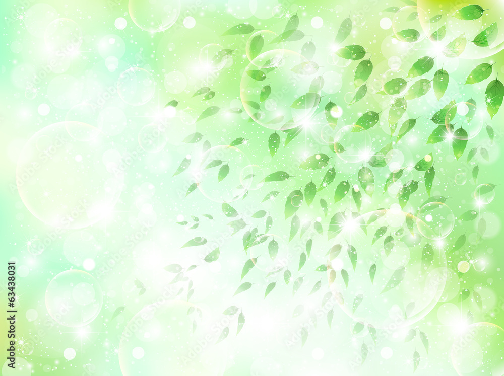 Fototapeta premium 空 葉 風景