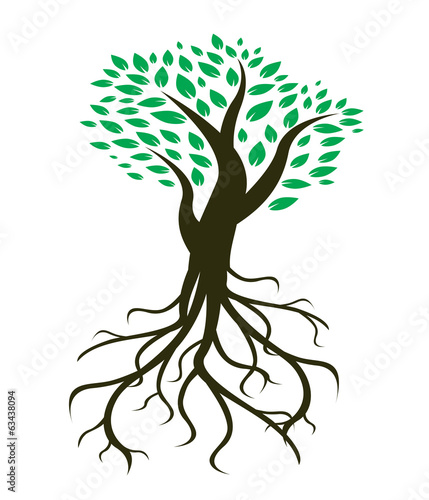 tree roots