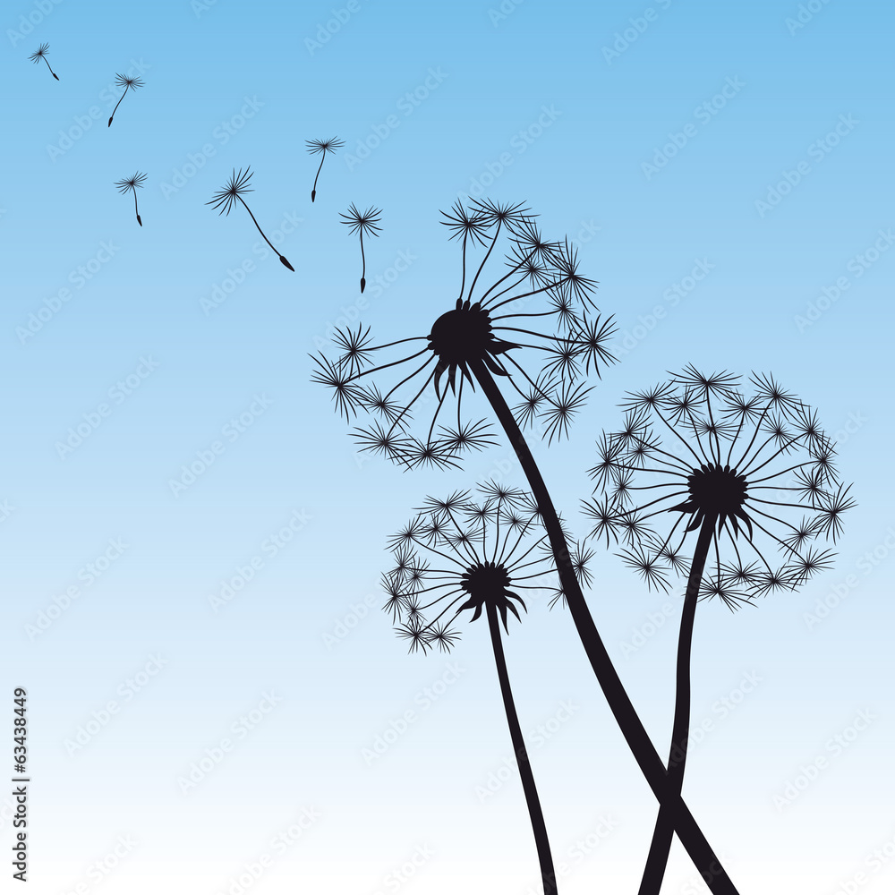 vector illustration dandelion blue sky - obrazy, fototapety, plakaty 