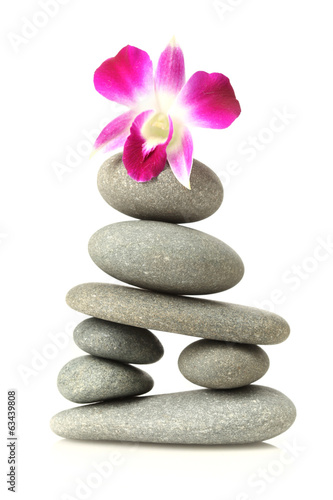 Orchid on stacked stones