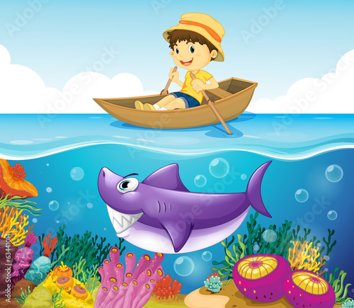 A boy in the ocean with a shark