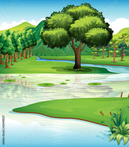 Land and water resources