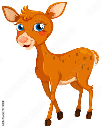 A little deer