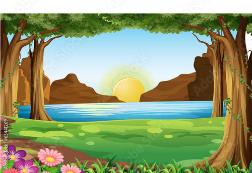 A river at the forest