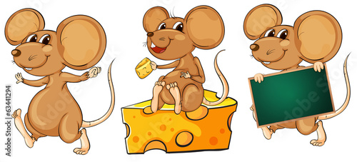 Three playful mice