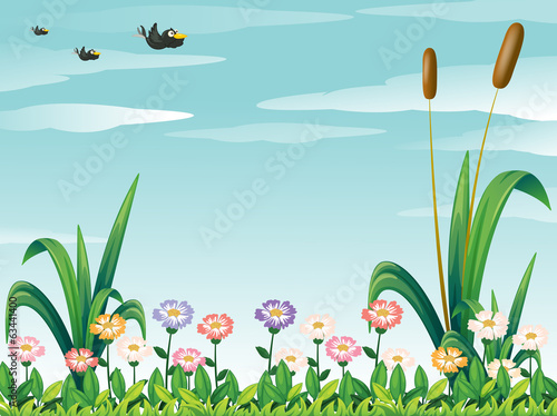 A garden with fresh flowers and the birds in the sky