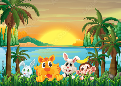 Animals at the riverbank with coconut trees