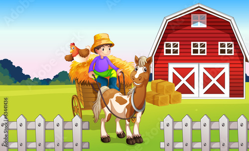 A boy at the farm