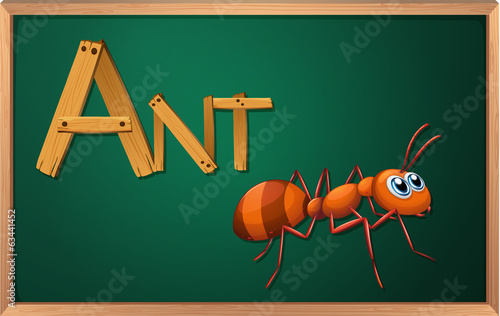 A blackboard with an ant