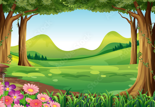 A green forest