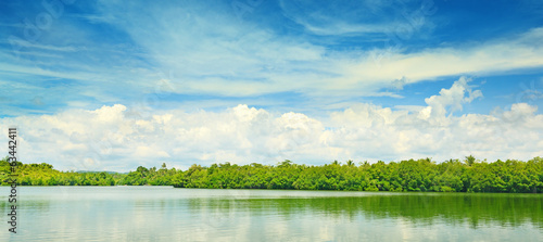 Equatorial mangroves