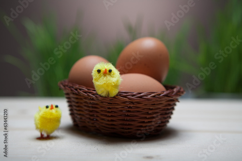 Easter still life with grass, chickens and eggs in a bascet. © Aleks Kend