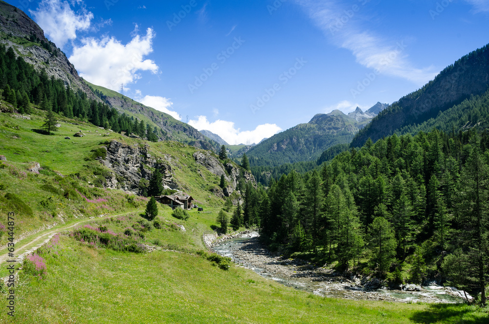 valle alpina