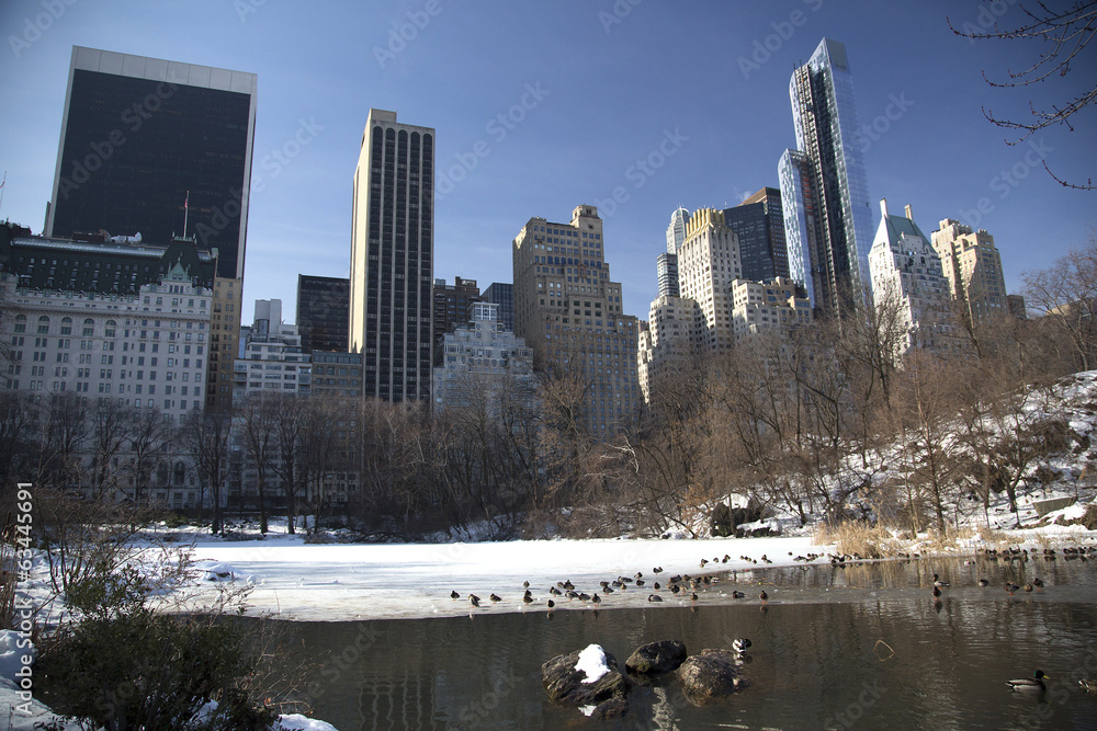 Fototapeta premium New York