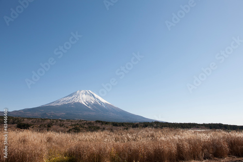 秋の朝霧高原