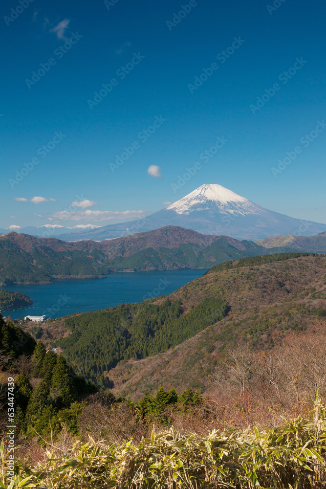 大観山からの富士山 大観山からの富士山