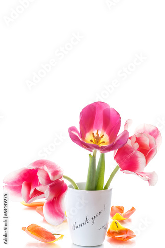 Fototapeta Naklejka Na Ścianę i Meble -  beautiful tulips in a vase with gratitude