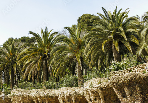 Palmen im Park Guell in Barcelona, Spanien