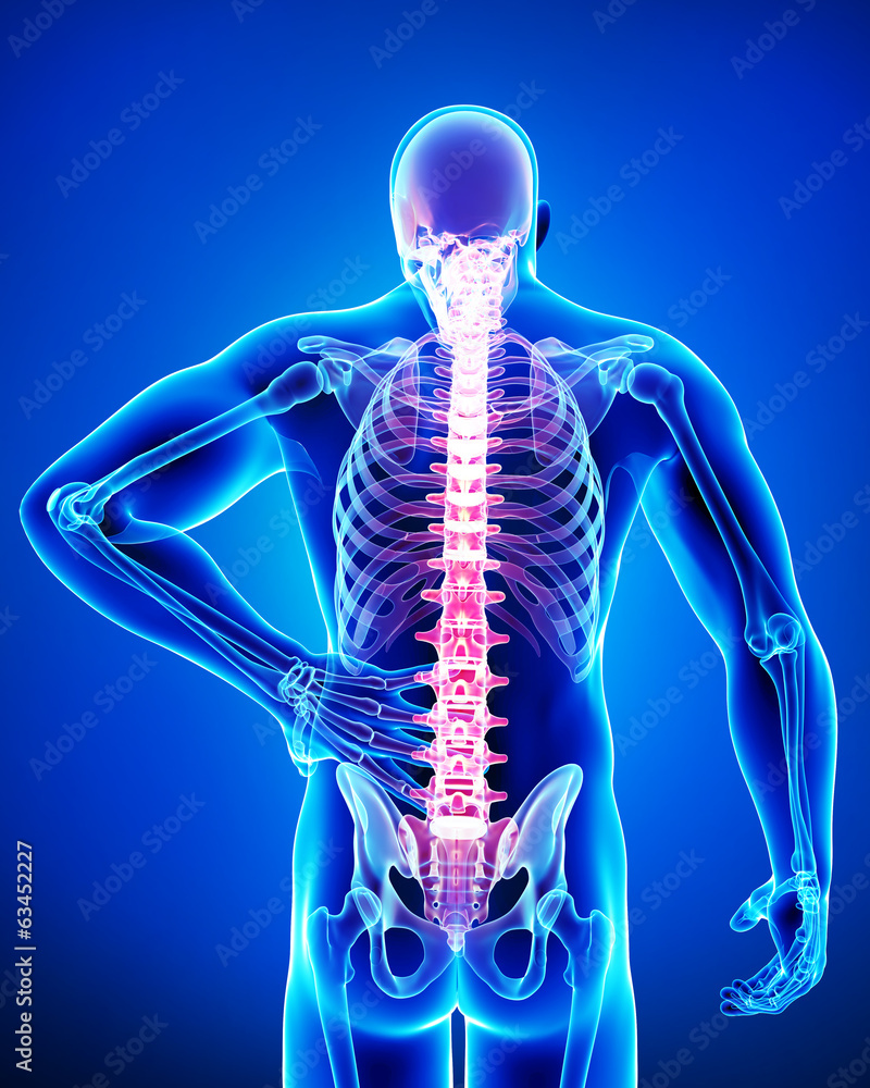 Anatomy of male back pain in blue Anatomy of male back pain in blue