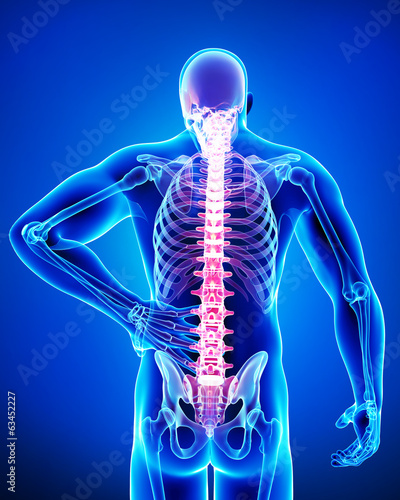 Anatomy of male back pain in blue