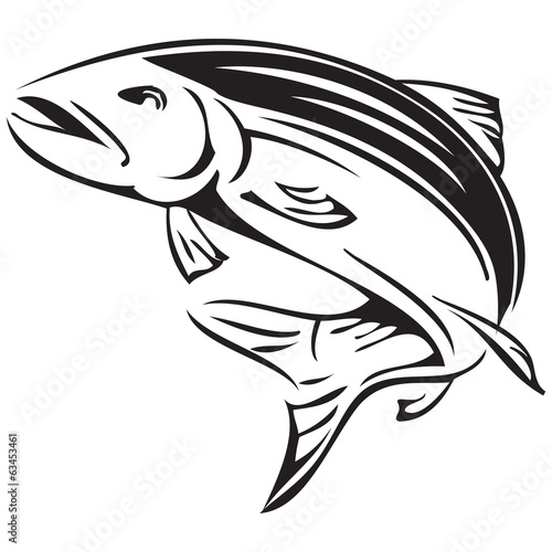 Symbol salmon
