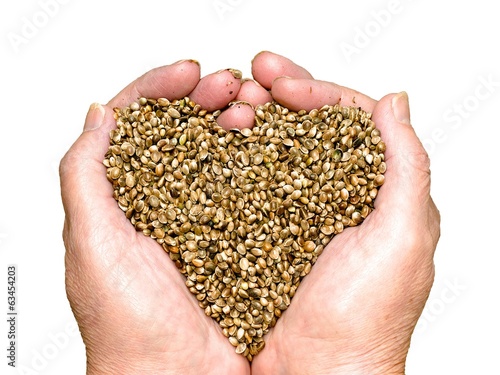 Hemp seeds held by hands shaping a heart isolated on white