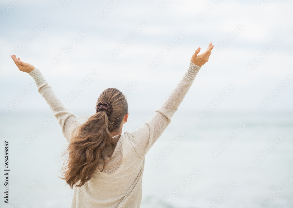 Young woman on cold beach rejoicing success. rear view Young woman on cold beach rejoicing success. rear view