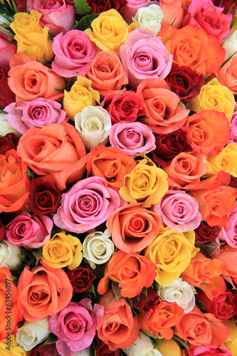 Multicolored wedding rosesm