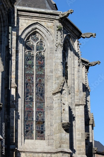 Gargouilles et vitraux de la Cathédrale Ste Waudru de Mons photo