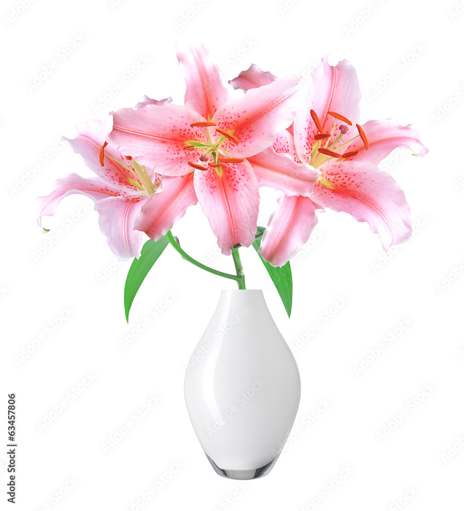beautiful pink lily in vase on white background with clipping pa beautiful pink lily in vase on white background with clipping pa