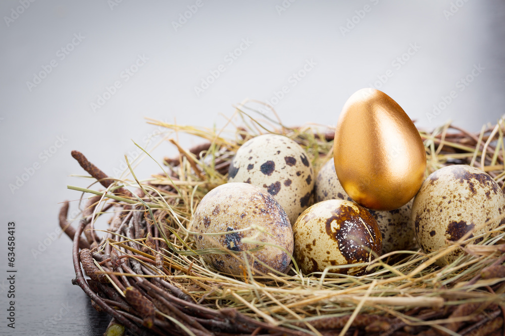 Obraz premium Gold Egg