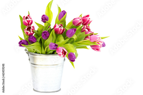Fototapeta Naklejka Na Ścianę i Meble -  colourful tulips in a bucket